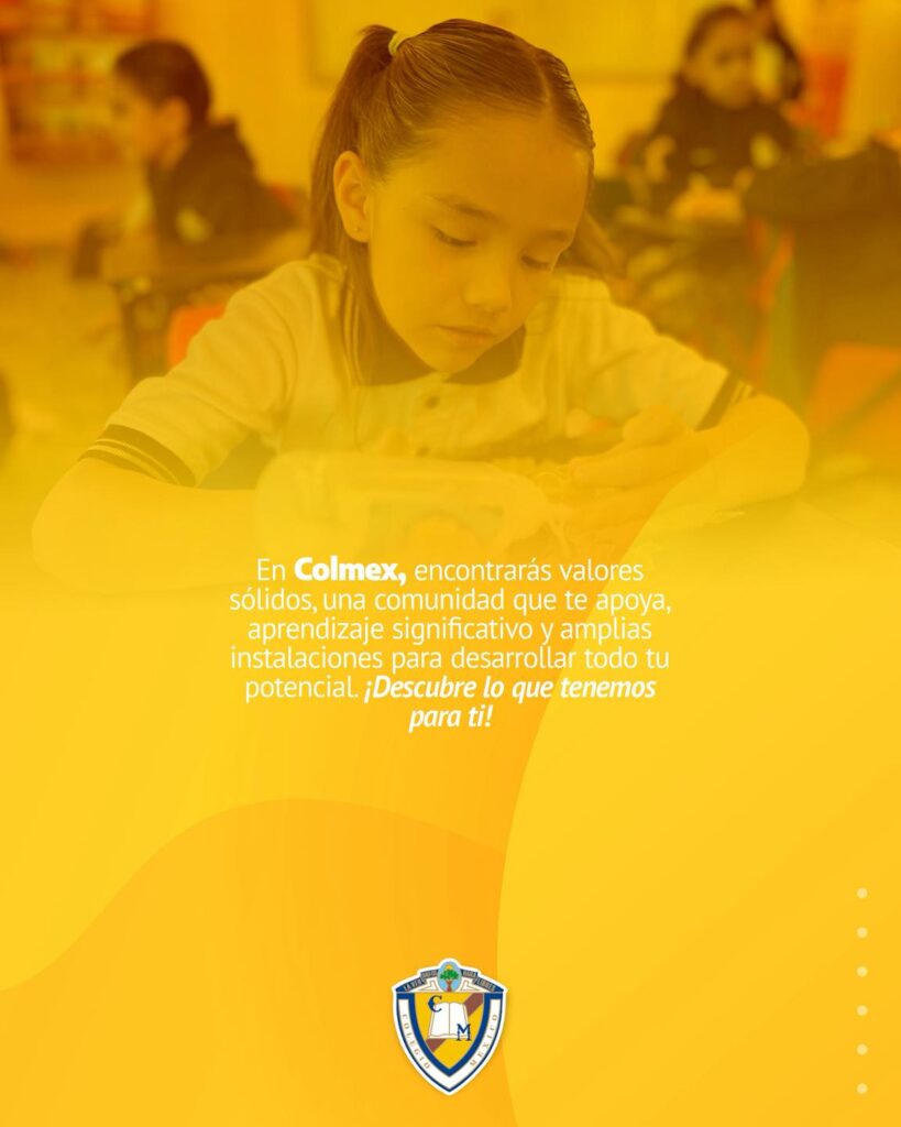 Ingreso Primaria 1